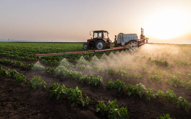 Best Commercial Pest Control Services  in Aurora, MO