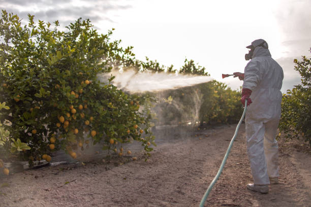 Best Pest Control Near Me  in Aurora, MO