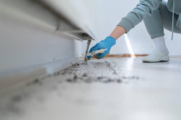 Best Commercial Pest Control Services  in Aurora, MO